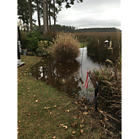 Chesapeake King Tide image